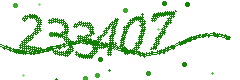 Captcha verification image